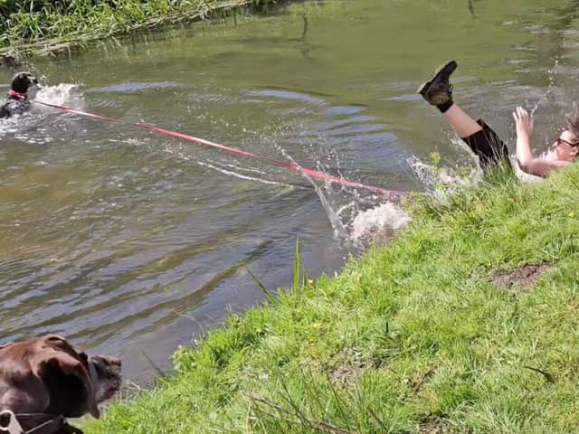 Woman is dragged into river while playing with her excited dog.