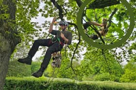 A frightened kitten stuck up a tree was finally brought back down with the help of a South Ribble Council tree surgeon named Jaimie.