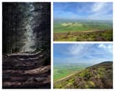 A beautiful walk on Longridge Fell