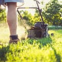 Bank holiday lawn mowing at the wrong time could land Brits with a £5,000 fine if they break certain rules.