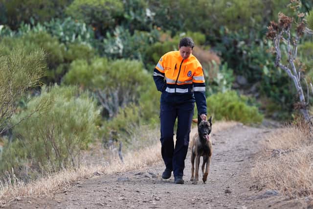 A search team member with a search dog close to the village of Masca, Tenerife, where the search for missing British teenager Jay Slater, 19, continues. Picture: James Manning/PA Wire