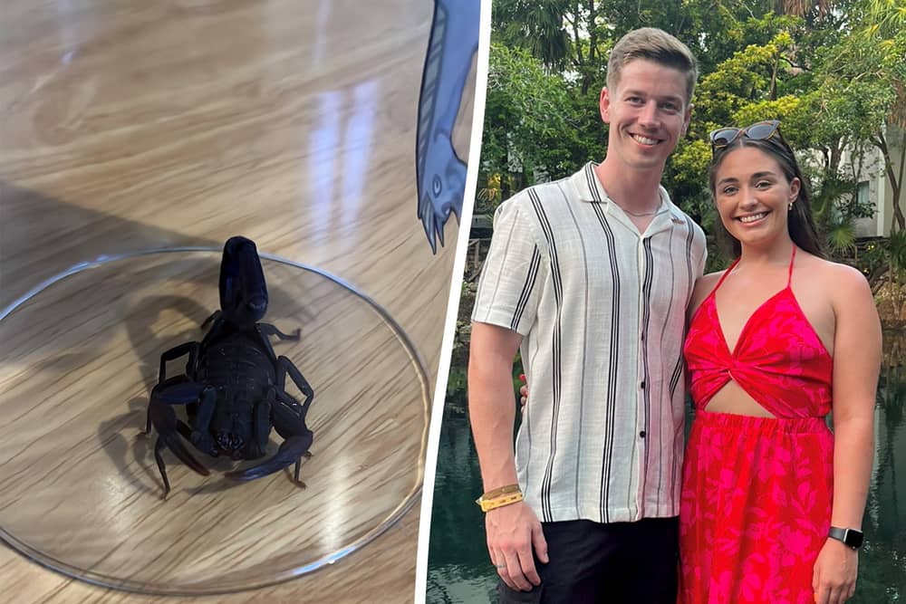 the scorpion that John Gray and Jodie Daly bought back from Mexico.