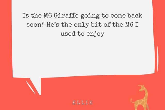 M6 commuter, Ellie was clearly a fan of Gerry the Giraffe.