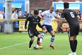 Brad Potts in action 