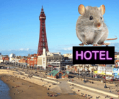 A new boarding house has opened in Blackpool - Arlo's Ratty Hotel