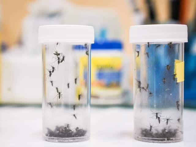 A warning has been issued to holidaymakers heading to Spain as a deadly virus is surging. (Photo: Getty Images)