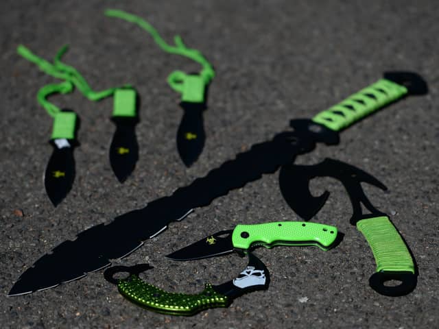 It will be illegal to own certain styles of zombie-style knives and machetes from September 24
