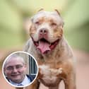 David Daintree, 53 was found deceased after being attacked by an XL Bully