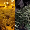 £168k worth of cannabis plants were seized during drug raids discovered in Burnley and Rossendale