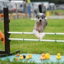 Lancashire Game and Country Festival