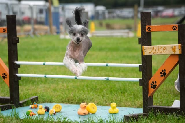 Lancashire Game and Country Festival