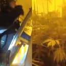 Man hurls soil at police as they find cannabis farm in raid.