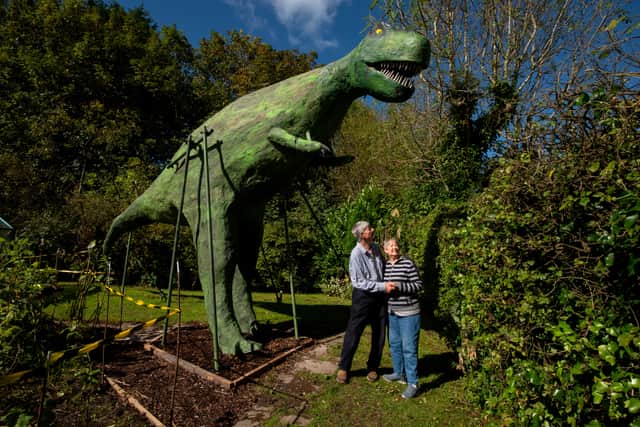 Bertha, the 32 feet six inch long dinosaur, in the back garden of Alan and Monica Taylor from Much Hoole (also pictured).
