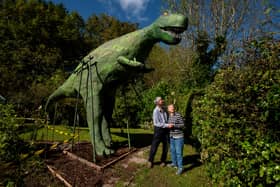  Bertha, the 32 feet six inch long dinosaur, in the back garden of Alan and Monica Taylor from Much Hoole (also pictured).
