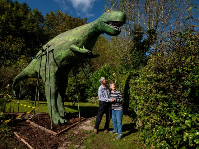  Bertha, the 32 feet six inch long dinosaur, in the back garden of Alan and Monica Taylor from Much Hoole (also pictured).