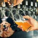 These are the best dog-friendly pubs across Lancashire