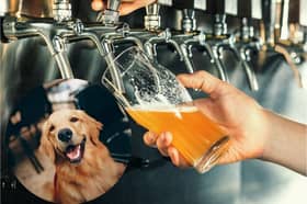 These are the best dog-friendly pubs across Lancashire