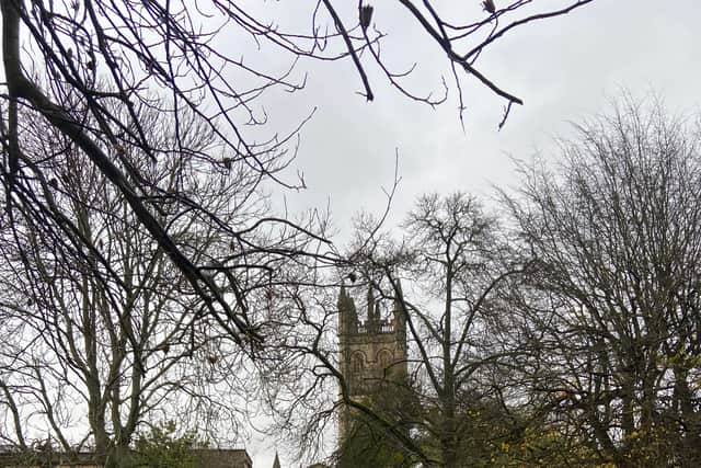 Oxford Botanic Garden. (Photo: Isabella Boneham)