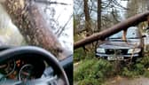 Huge tree trunk crashes down on driver’s windscreen.