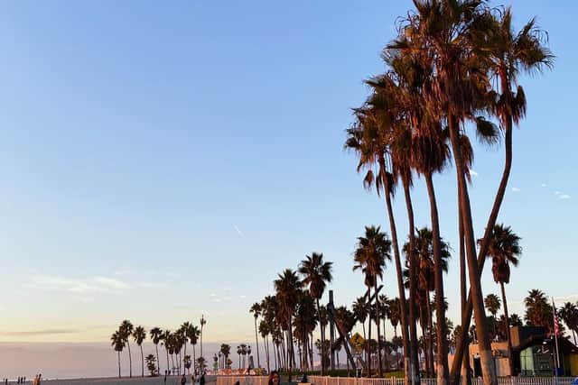 Venice Beach. (Photo: Isabella Boneham)