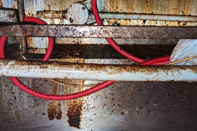 The kitchen was dirty and greasy and there were a number of potential pest entry points into the premises.
