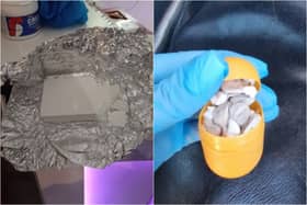 11 people were arrested after drugs, weapons and cash were seized in Lancashire