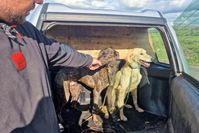 Hare coursing has been illegal in the UK since 2005, when the Hunting Act 2004 made it an offense to hunt wild mammals with dogs. Those convicted of hare coursing face an unlimited fine and up to six months in prison