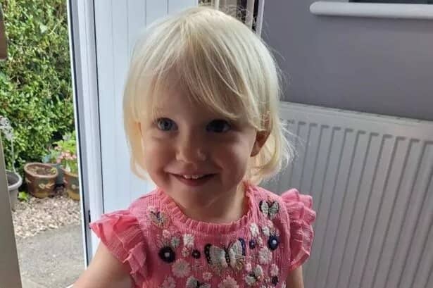 Ava Grace Hodgkinson