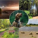 15 scenic dog-friendly walks to explore in Lancashire