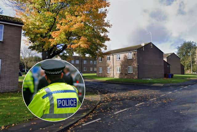 Woman arrested on suspicion of murder after body found with stab wounds ...
