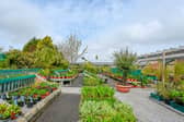Primrose Hill Garden Centre And Café , Asmall Lane, Ormskirk