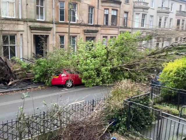 A huge tree pulled down power lines and smashed a car when it crashed down in Glasgow during Storm Éowyn. 