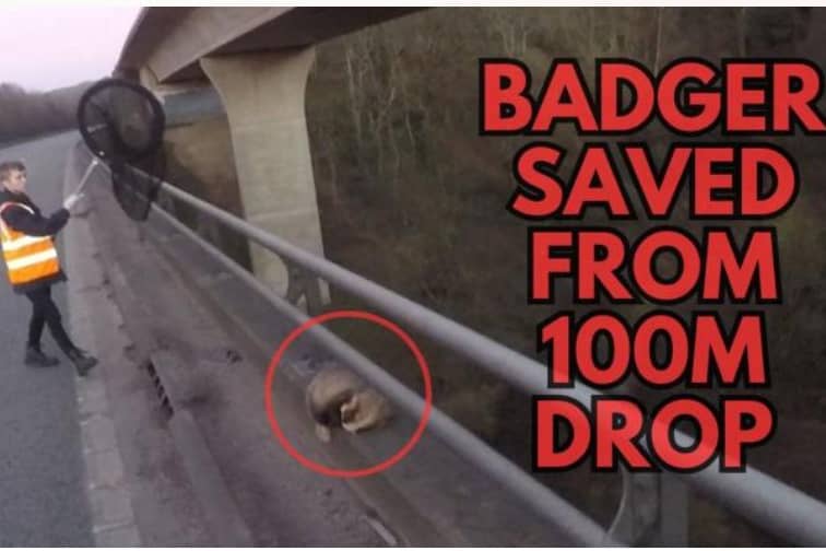 A person preparing to rescue a badger from a 100 metre drop