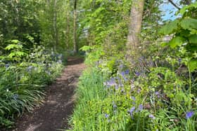 A short, tree-lined walk can be had at The Grove, Longton. This can be found at the junction of Liverpool Road and Bentley Park Drive.