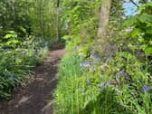 A short, tree-lined walk can be had at The Grove, Longton. This can be found at the junction of Liverpool Road and Bentley Park Drive.
