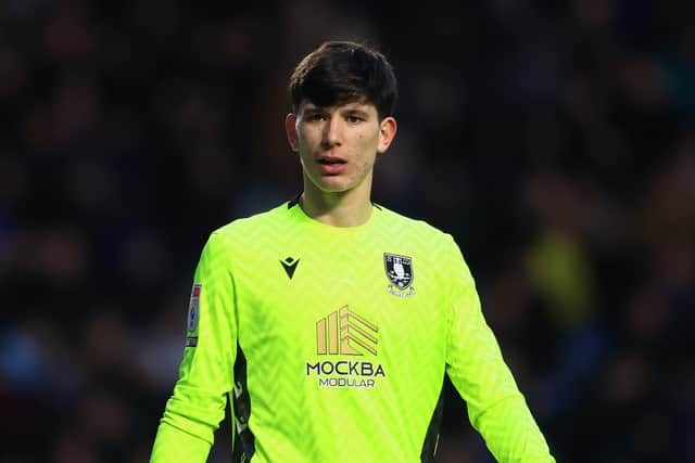 James Beadle from Brighton is a player Preston should be looking at, according to Grok.