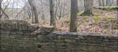Stone thefts have taken place from several locations from walls that line the roads at Anglezarke and Rivington. 