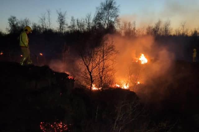 Fire crews also tackled two wildfires.