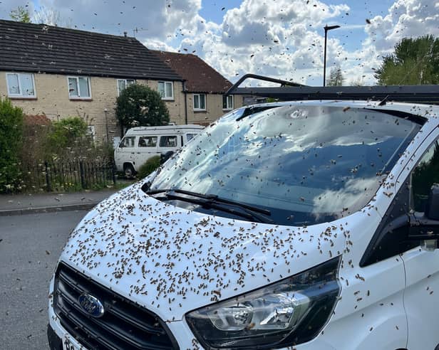 Pictures shows the swarm of bees on a van in Heeley, Sheffield. Photo: Errol Edwards
