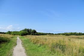 Kew Woods, Southport.