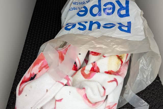 The kittens had been wrapped in a blanket inside a Tesco shopping bag and dumped in a litter bin in Penwortham with their umbilical cords still attached