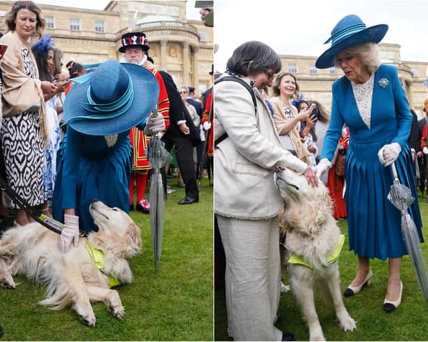 The Queen made friends with an “attention-seeking” guide dog from Lancashire during the first Buckingham Palace garden party of the season