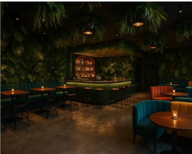 The jungle theme planned for Mono Loco, Lancaster