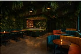 The jungle theme planned for Mono Loco, Lancaster