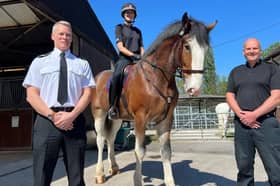 Lancashire Police named one of their new horses after ACC Lawson, honouring his memory
