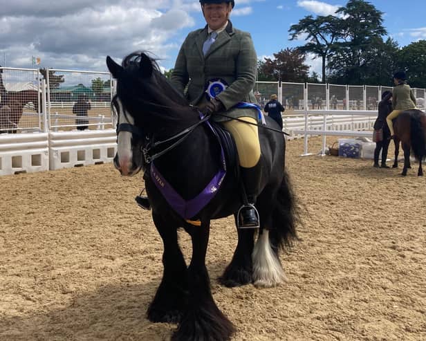 Bethany Jones and Traditional Gypsy Cob, Height End's Quiet Man, known as Blaze at home from Rawtenstall have qualified for Horse of the Year in SEIB Search for a Star.