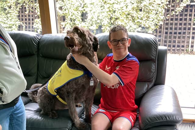 Meet Derian House Children's Hospice new therapy dogs Ted, Buddy and Cliff