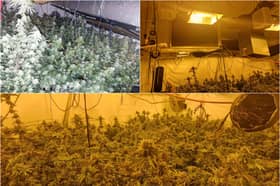 A cannabis farm estimated to be worth £21,000 has been discovered in Bacup