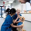 Meg the dog with students Emma Saxby and Hiya Shroff