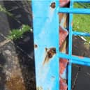 Rusty play equipment at William Pickles Park (2023)